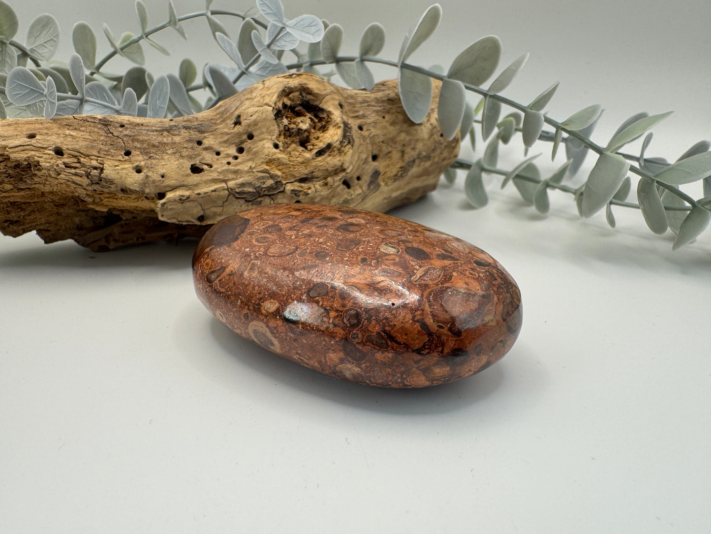 Leopard Skin Jasper Palm