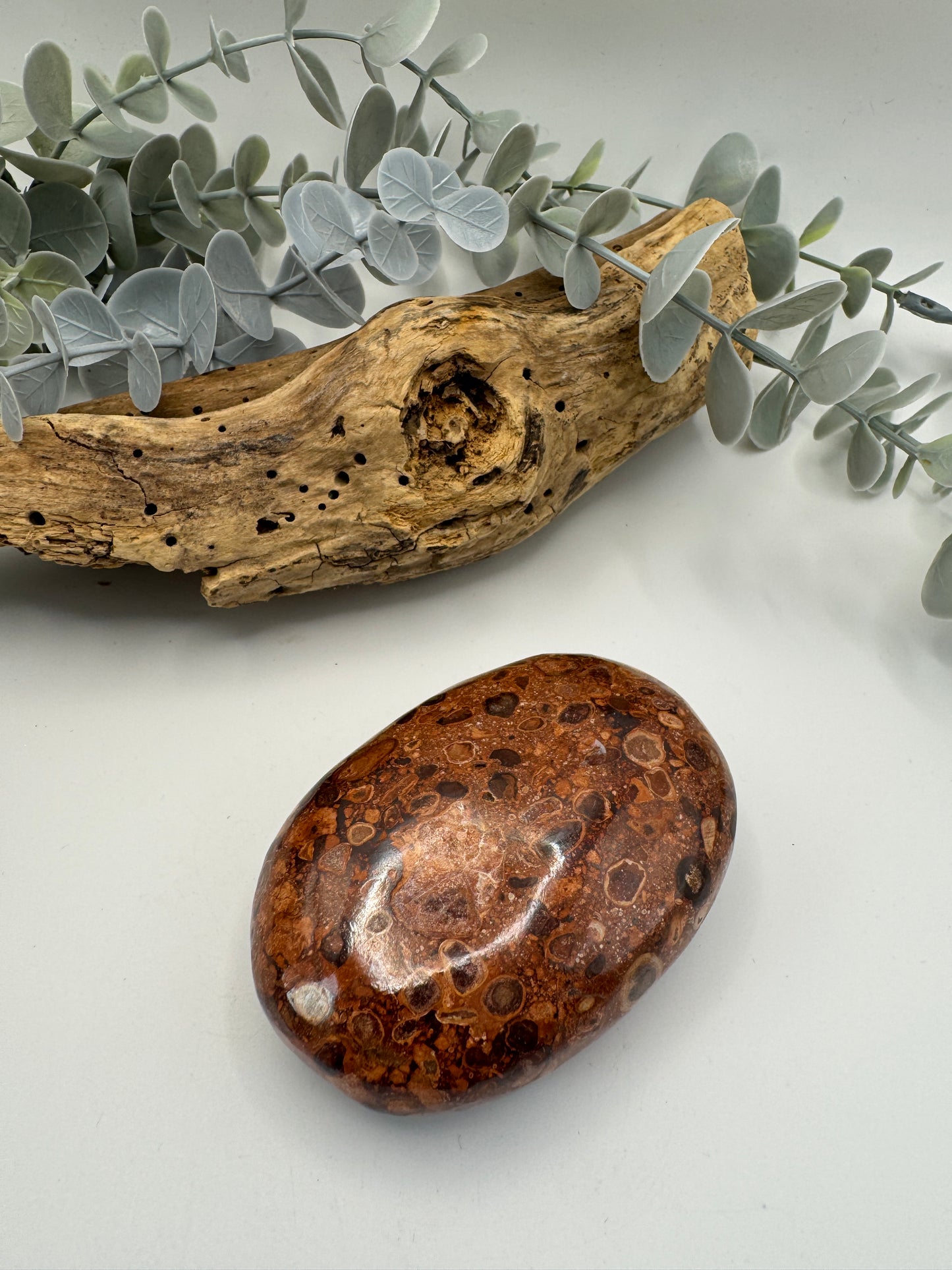 Leopard Skin Jasper Palm