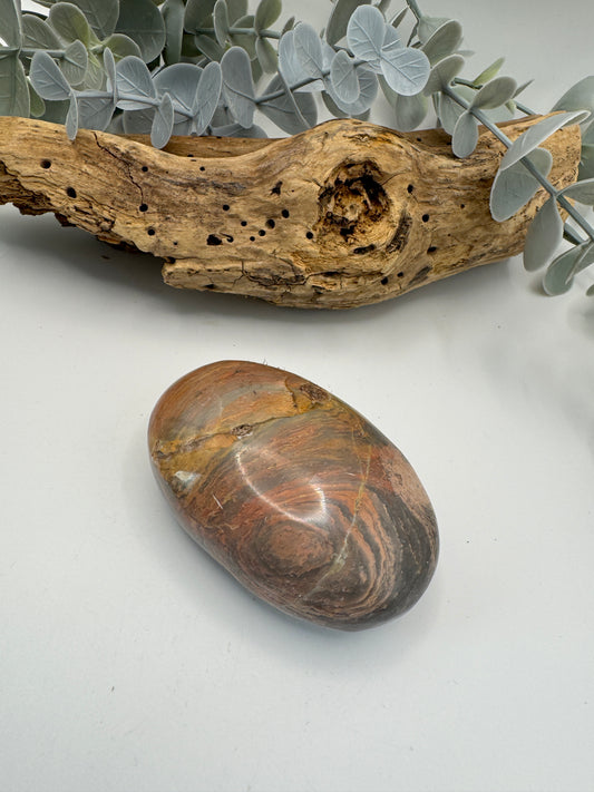 Silver Leaf Jasper Palm