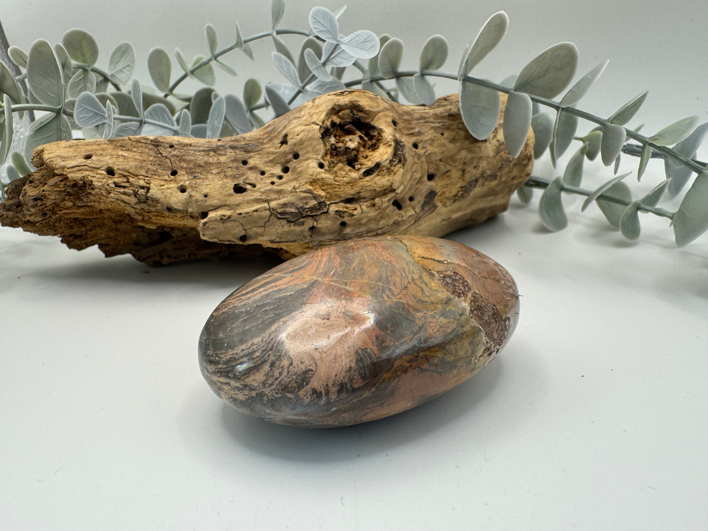 Silver Leaf Jasper Palm
