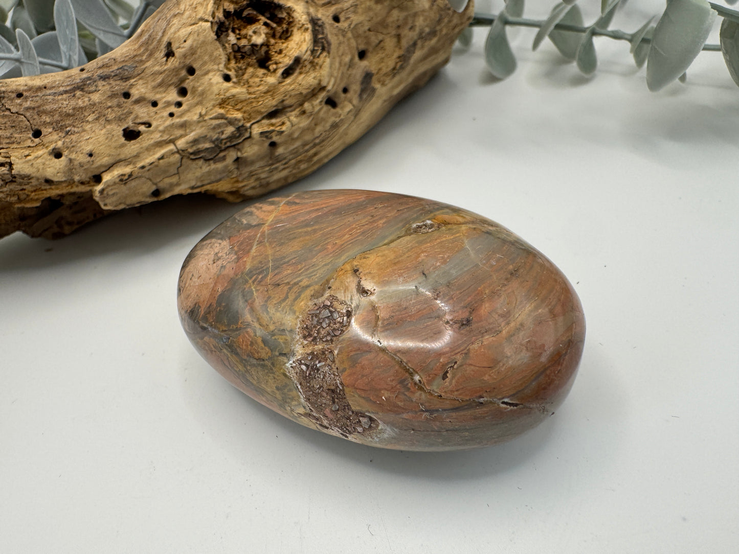 Silver Leaf Jasper Palm