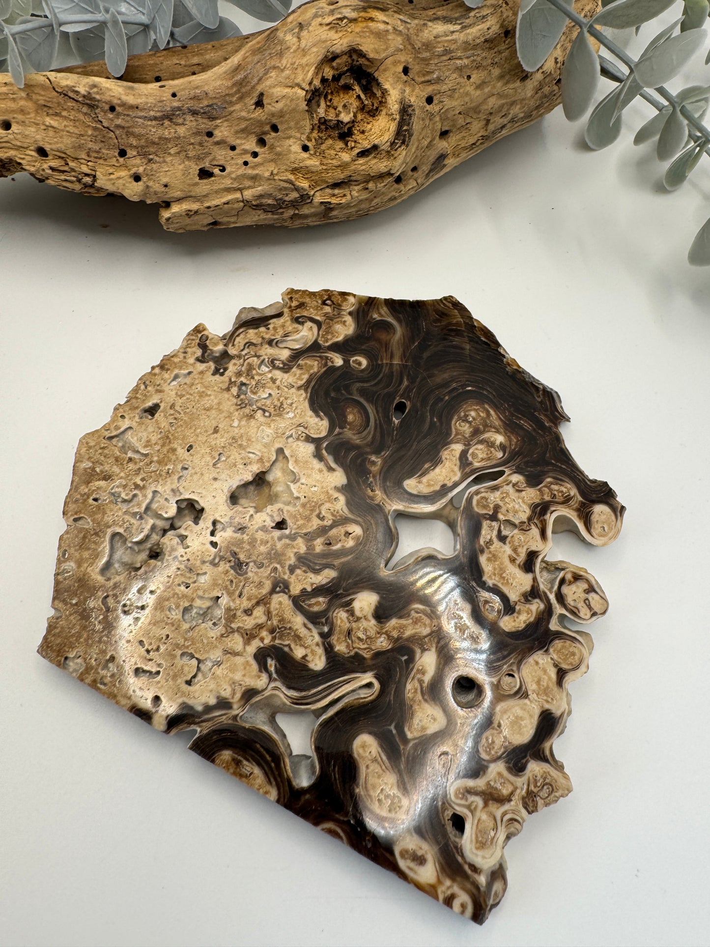 Chocolate Calcite Slice