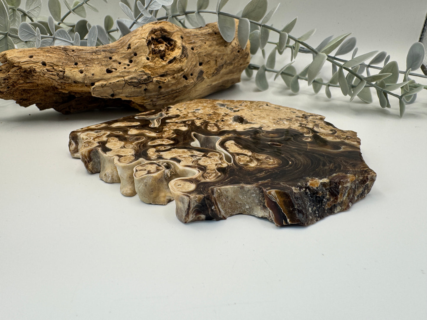 Chocolate Calcite Slice