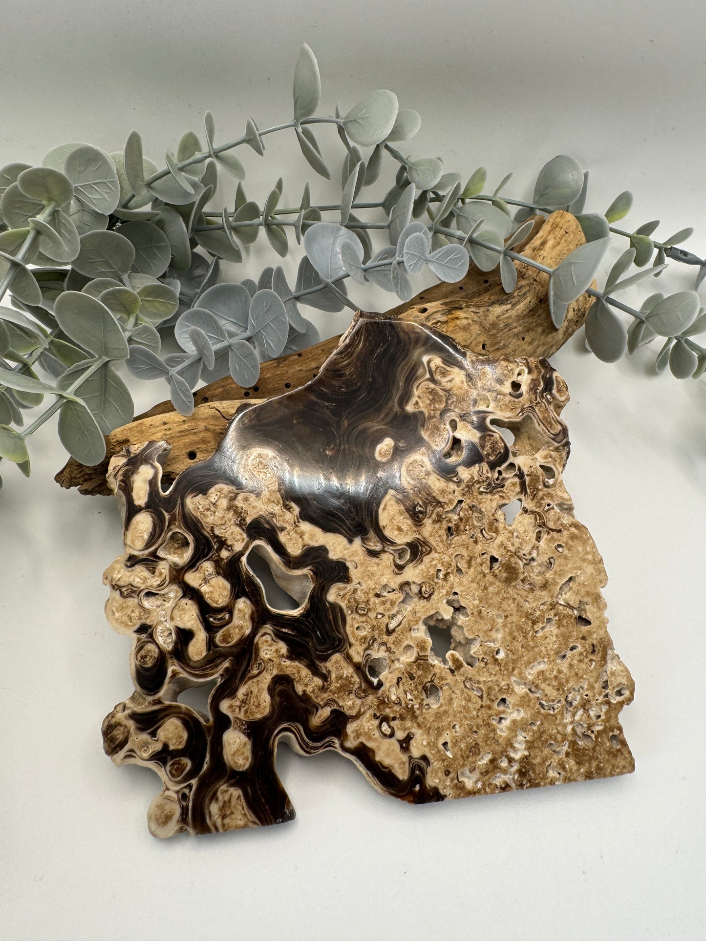 Chocolate Calcite Slice