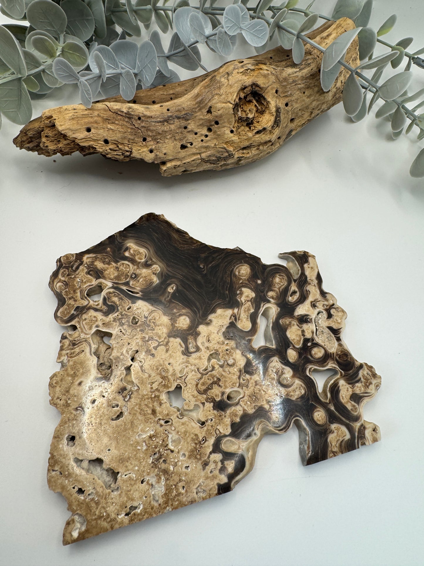 Chocolate Calcite Slice