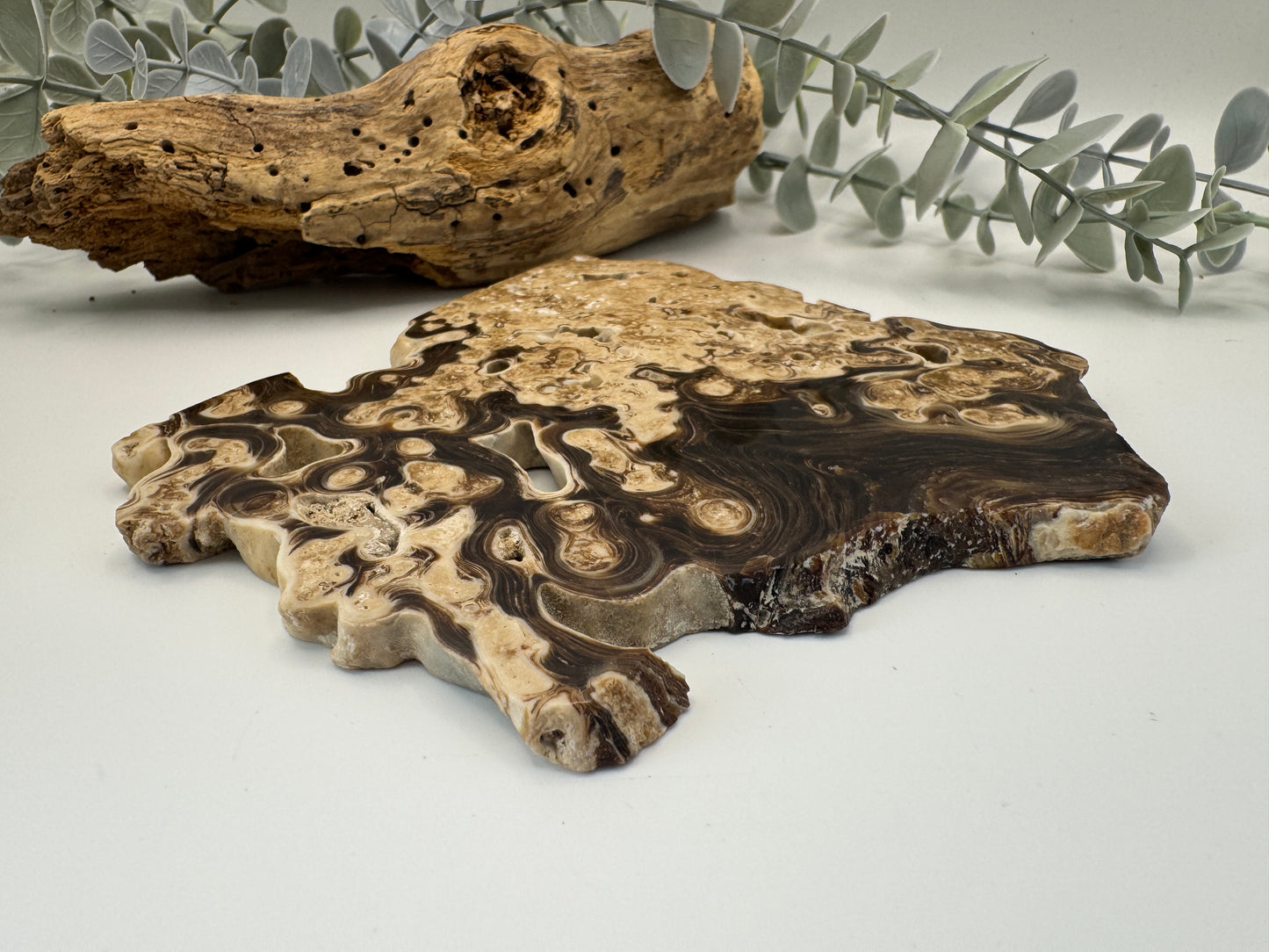 Chocolate Calcite Slice