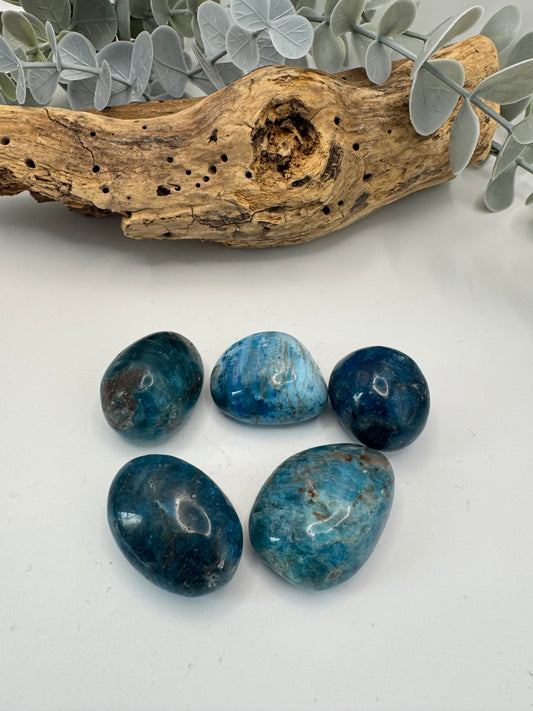 Blue Apatite Tumblestones