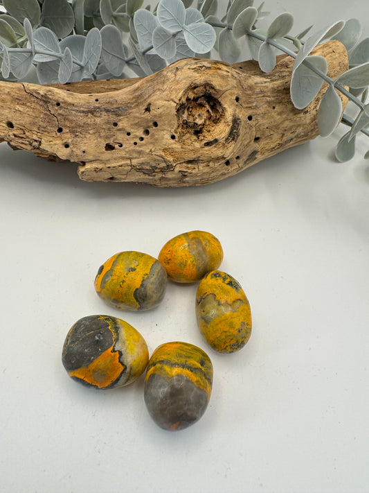Bumblebee Jasper Tumblestones