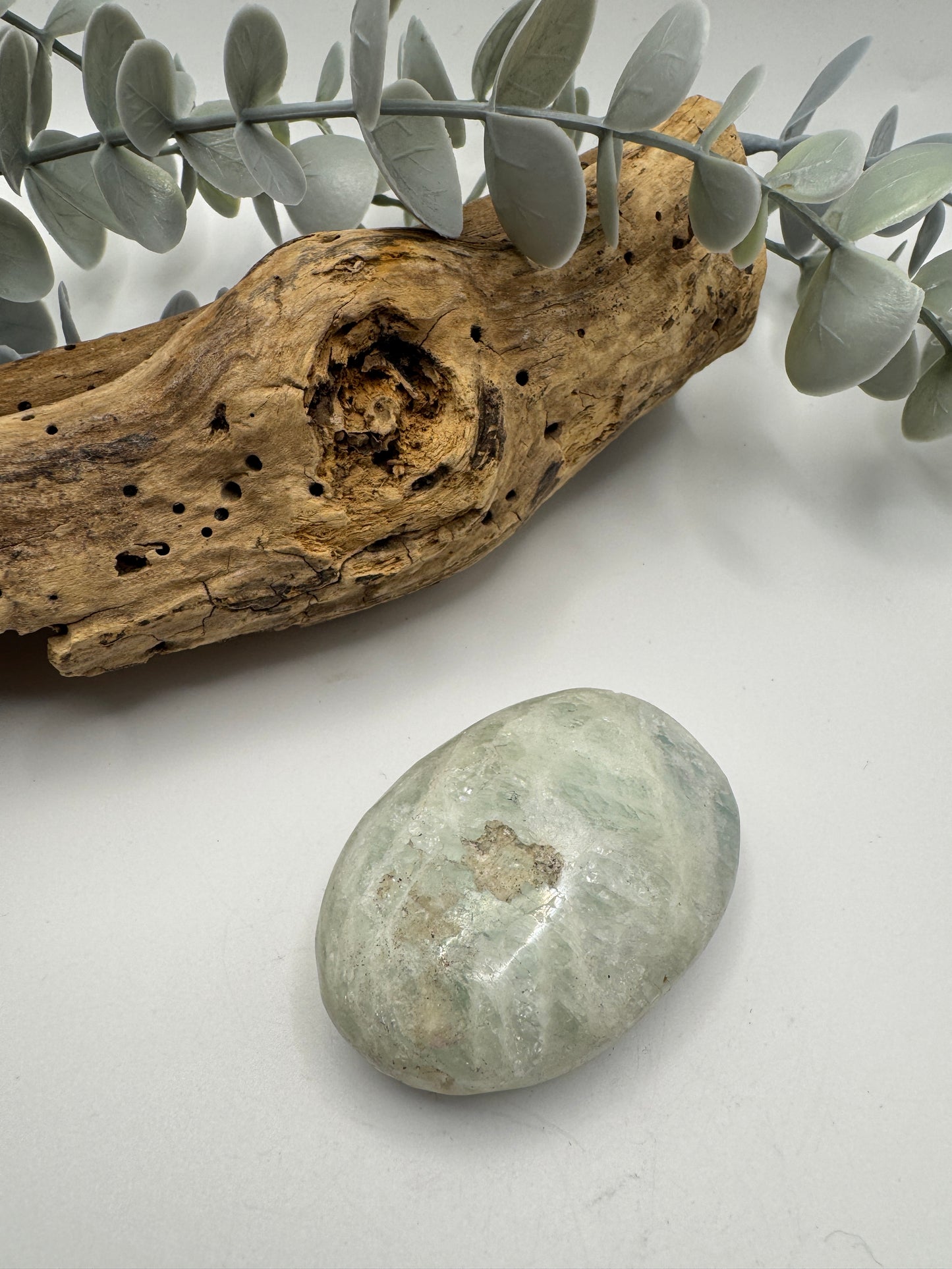 Aquamarine Palm Stone