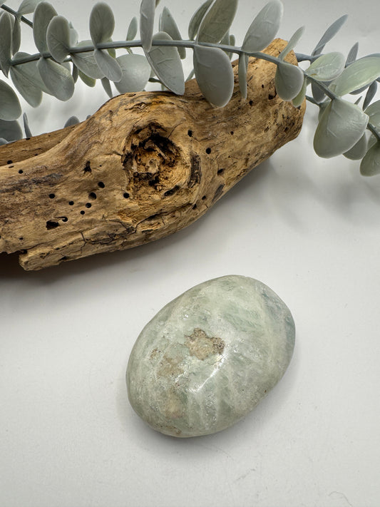 Aquamarine Palm Stone