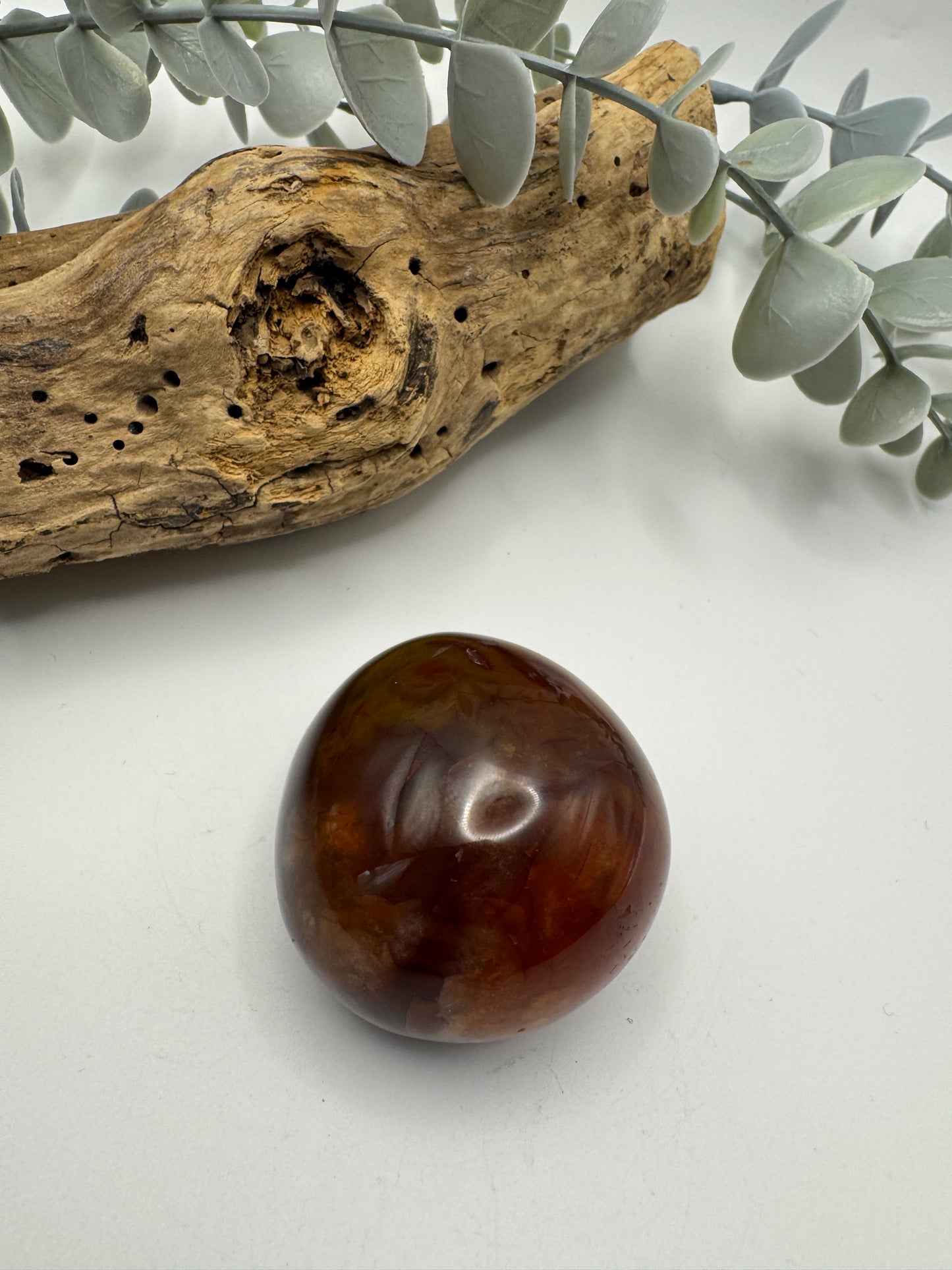 Petrified Wood Palm Stone