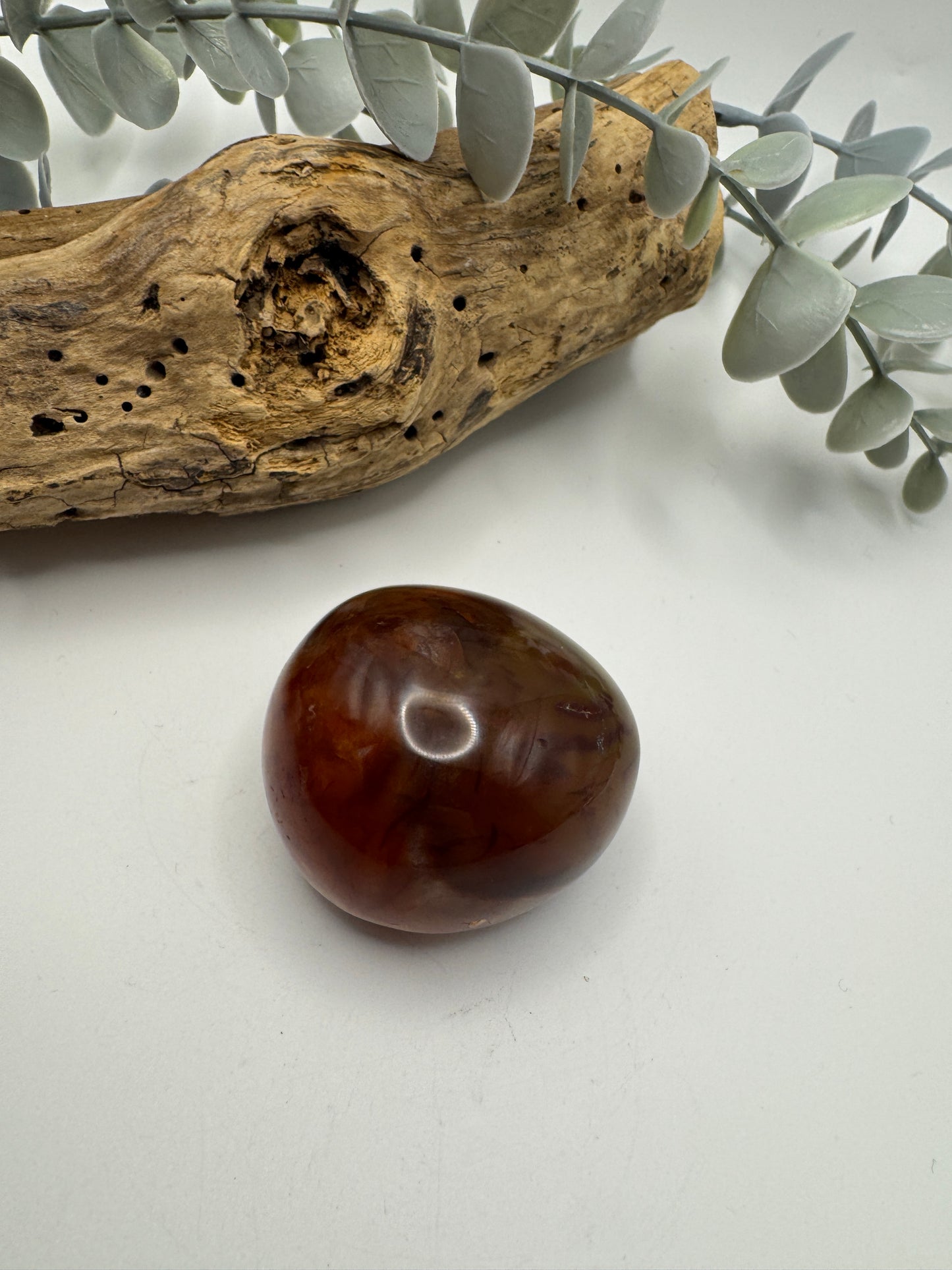 Petrified Wood Palm Stone