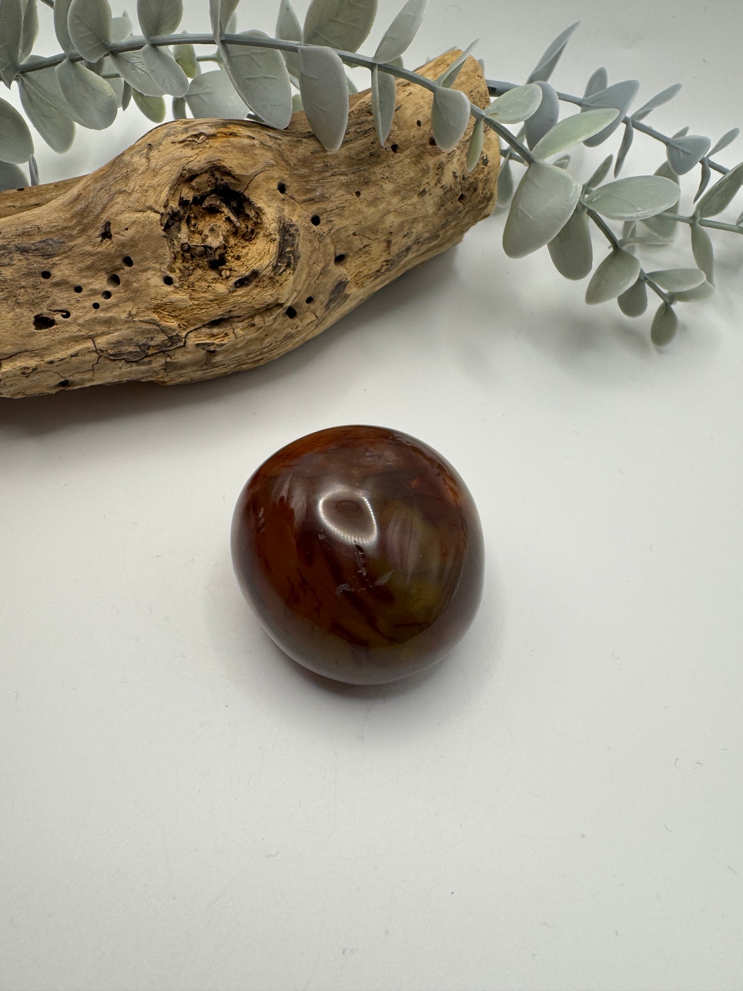 Petrified Wood Palm Stone