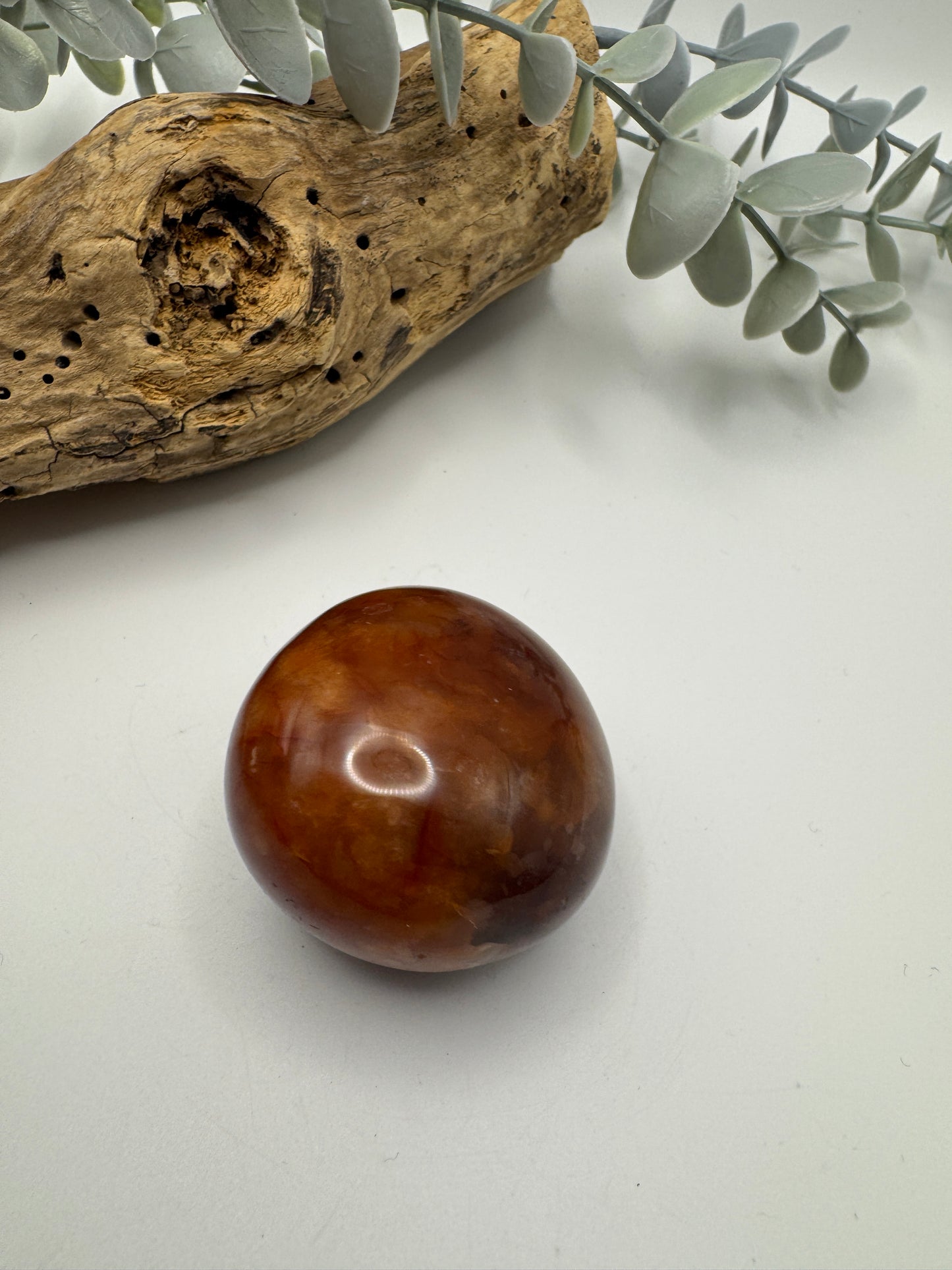 Petrified Wood Palm Stone