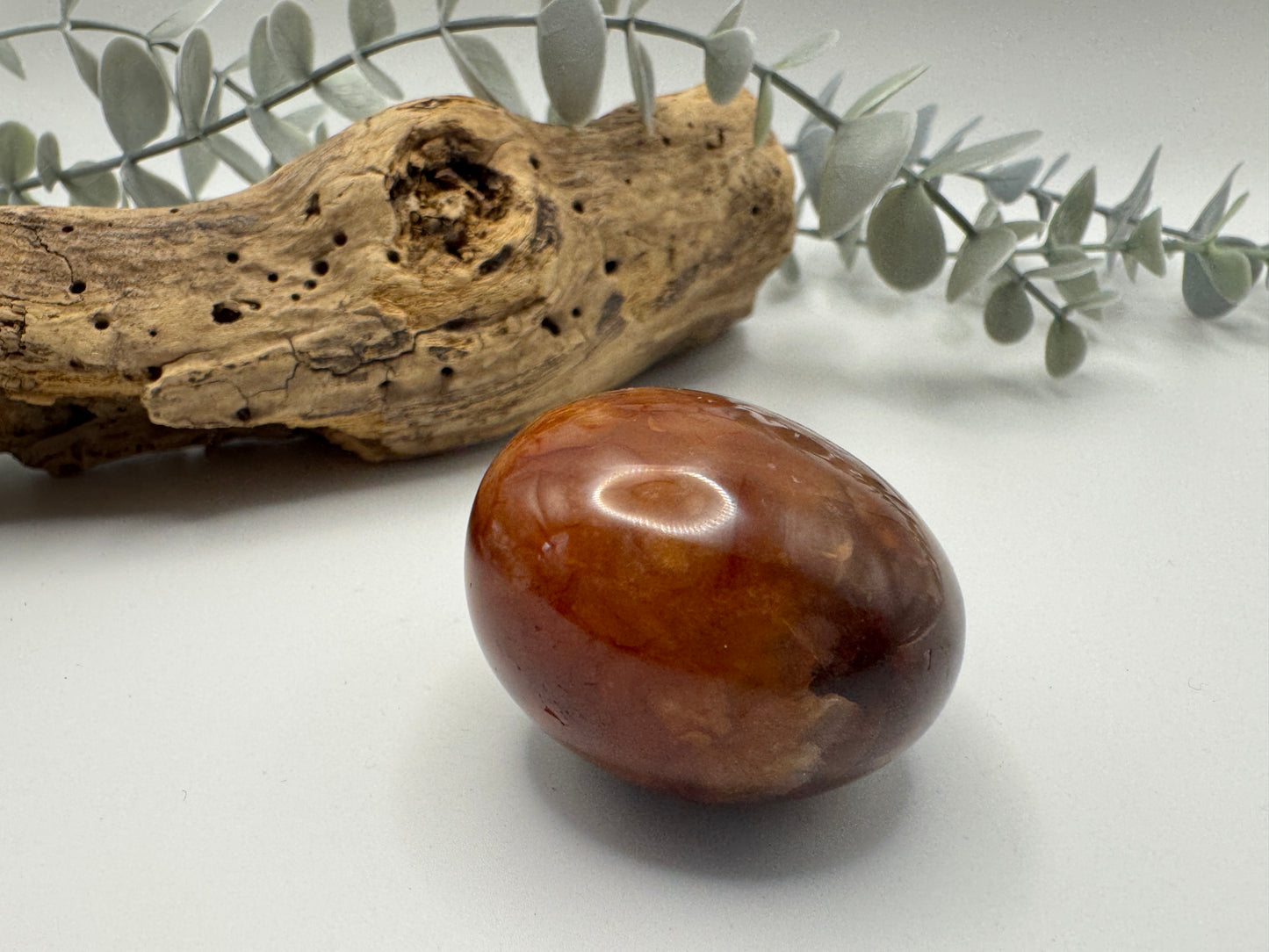 Petrified Wood Palm Stone