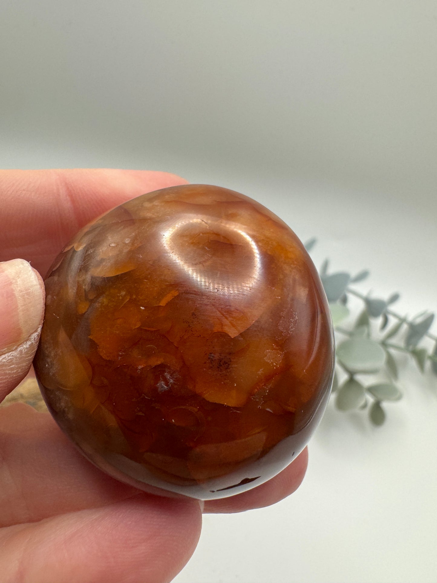 Petrified Wood Palm Stone
