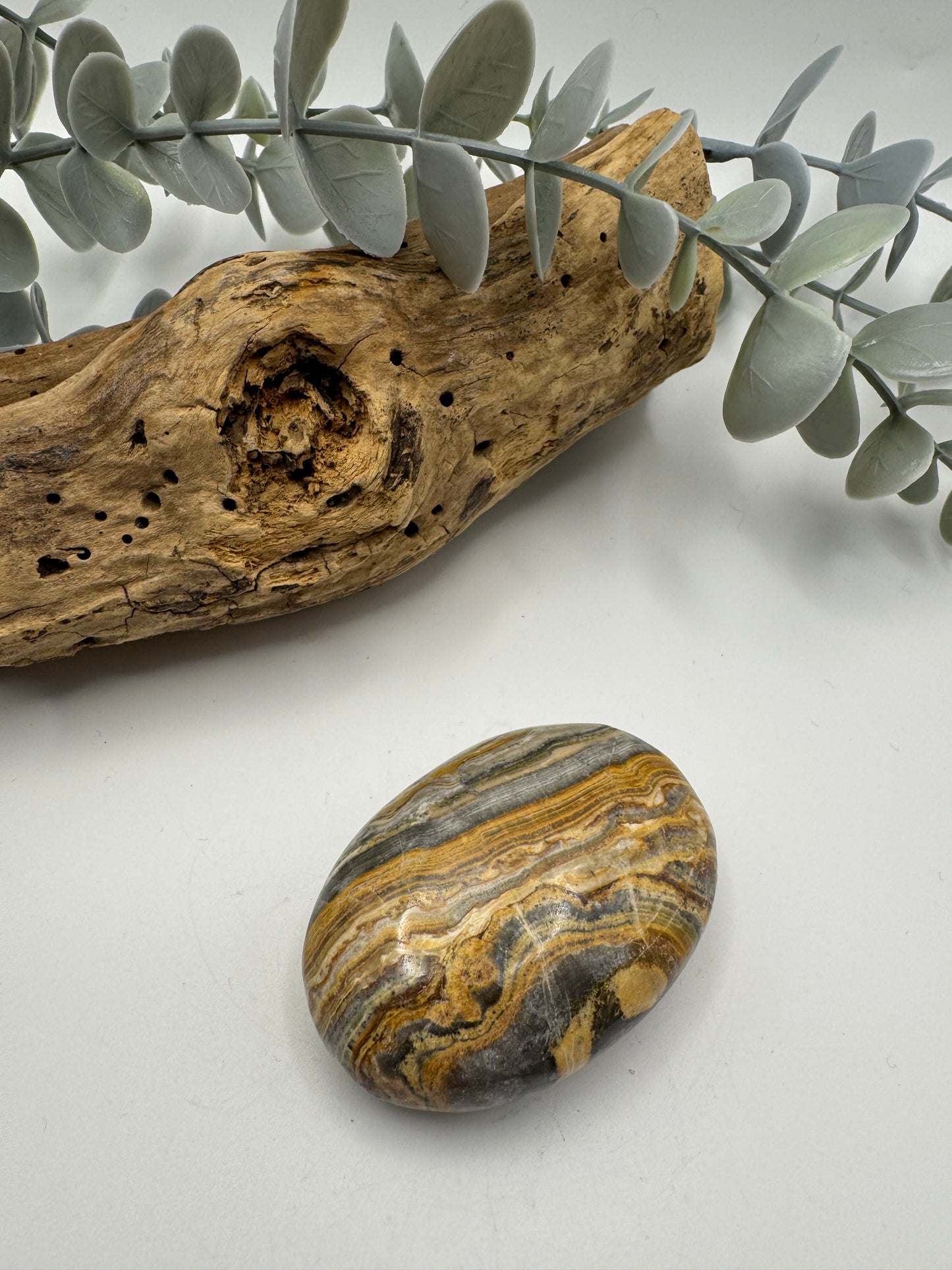 Pakistani Bumblebee Jasper Palm Stone