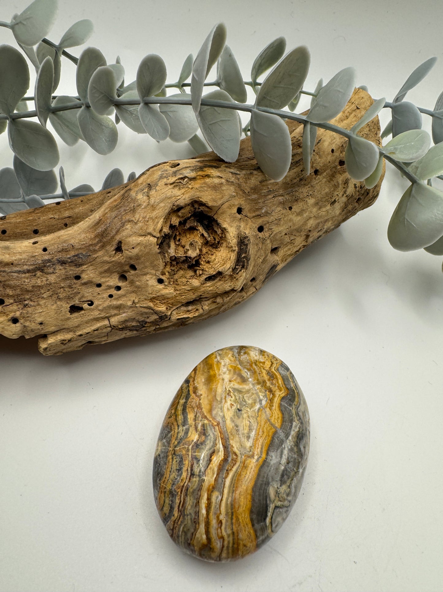 Pakistani Bumblebee Jasper Palm Stone