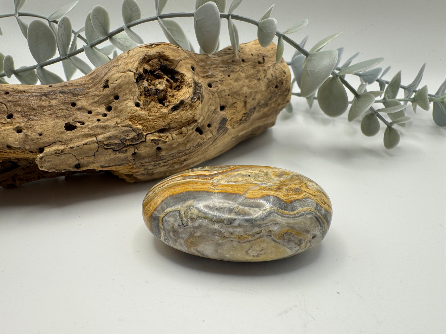 Pakistani Bumblebee Jasper Palm Stone