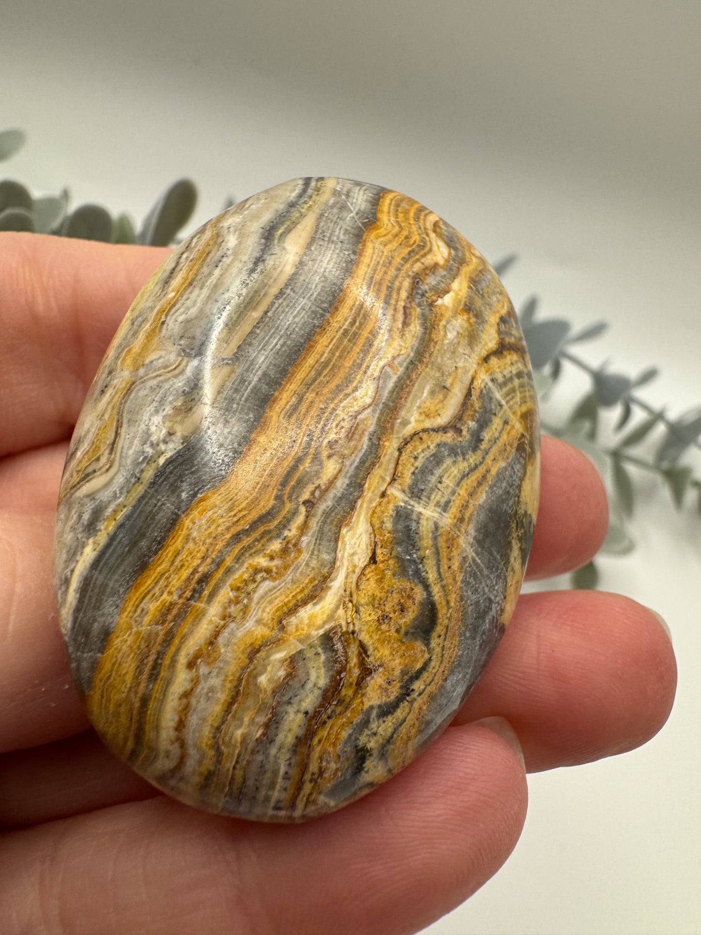 Pakistani Bumblebee Jasper Palm Stone