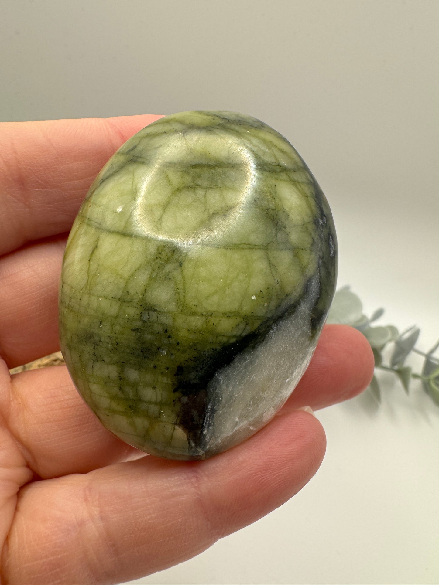 Rutile Serpentine Palm Stone