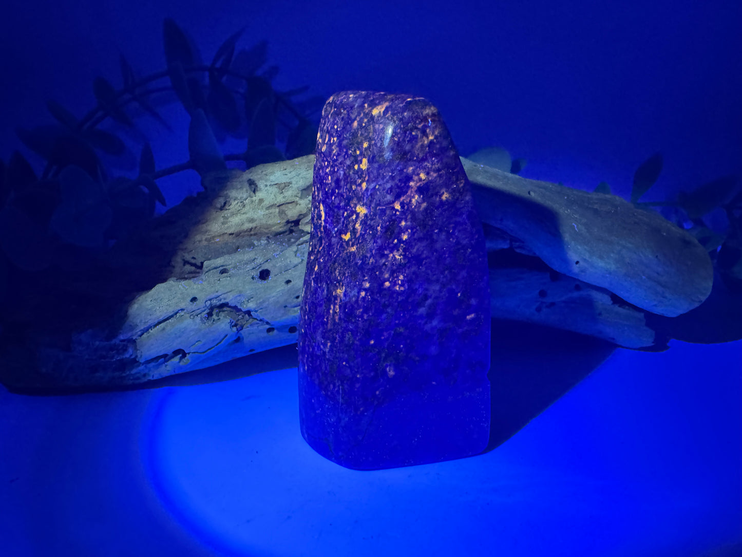 Lapis Lazuli Freeform