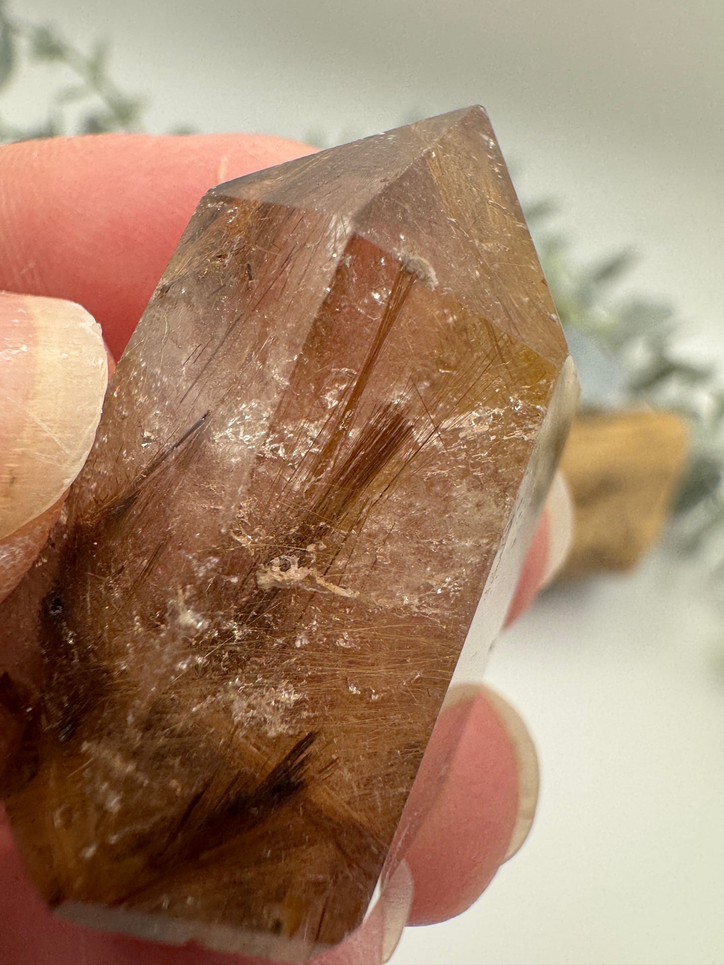 Rutilated Quartz Point