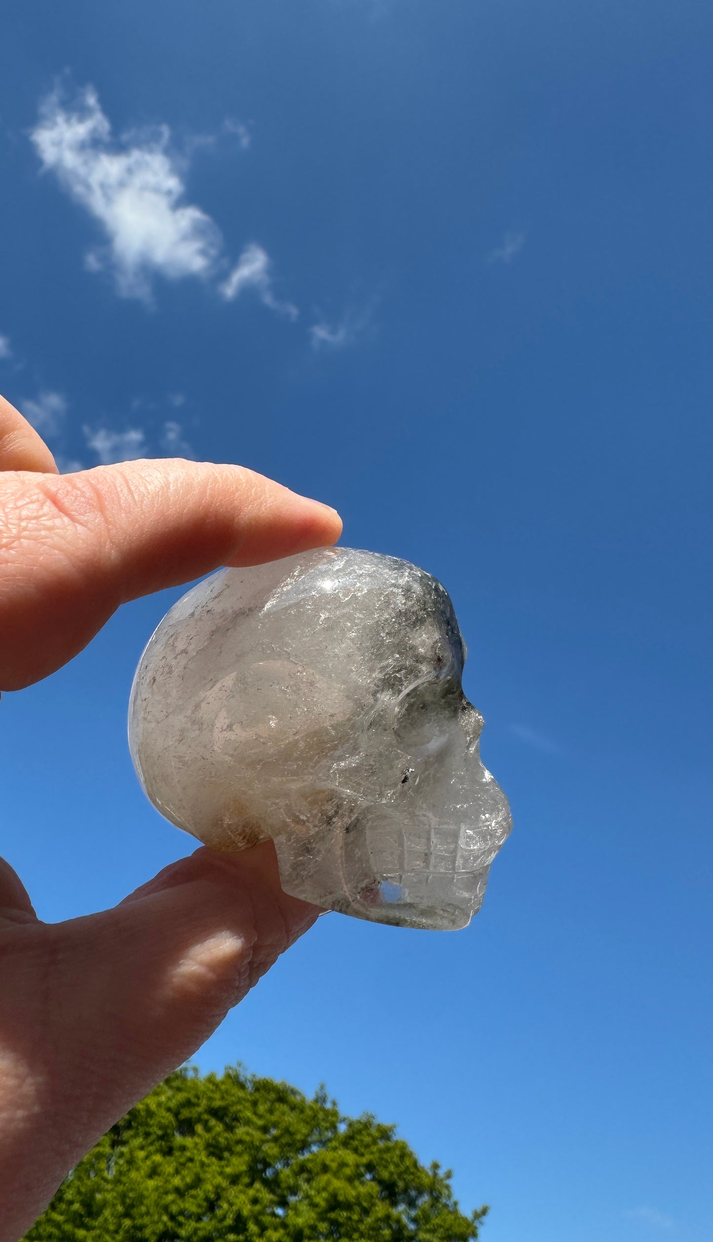 Garden Quartz Skull