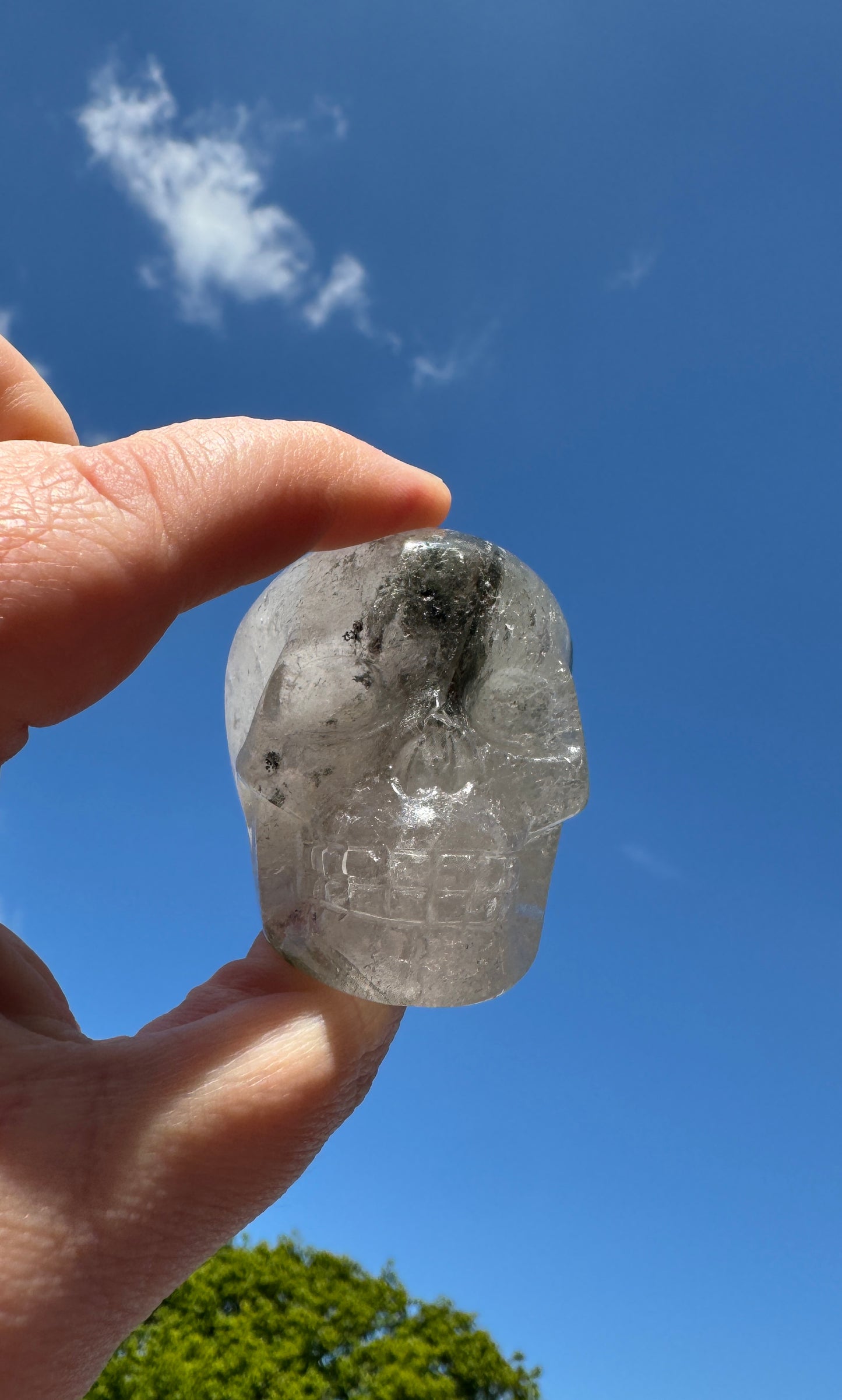 Garden Quartz Skull